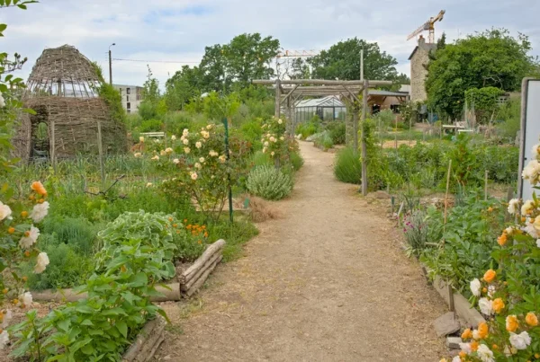 Les avantages d'un jardin écologique pour l'environnement - Gaia Paysages