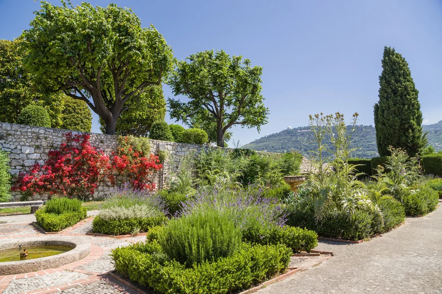 Choisir les plantes résistantes à la sécheresse en Provence - Gaia Paysages