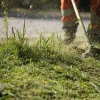 Débrouissallage pour protéger son jardin contre les incendies - Gaia Paysages, paysagistes à Aix en Provence et alentours