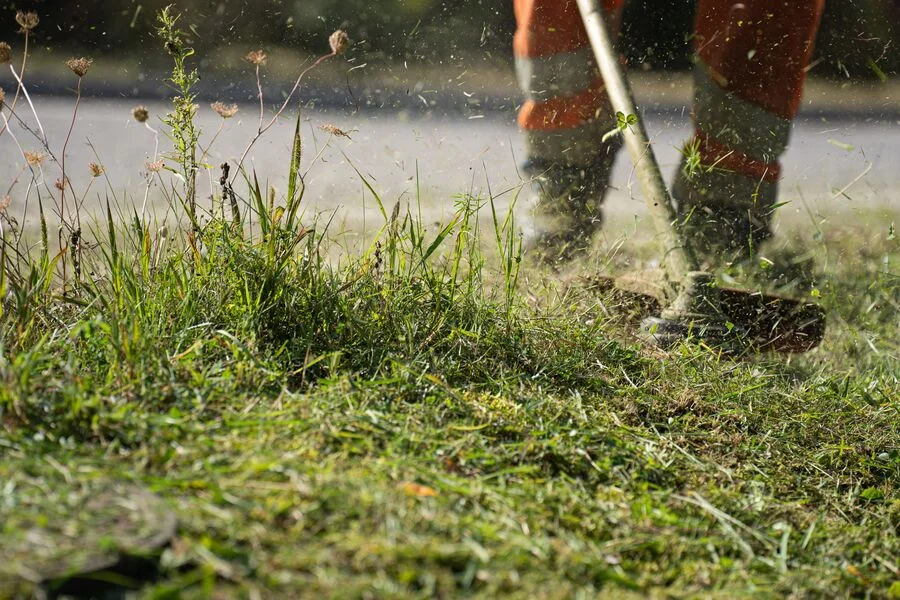 Débrouissallage pour protéger son jardin contre les incendies - Gaia Paysages, paysagistes à Aix en Provence et alentours