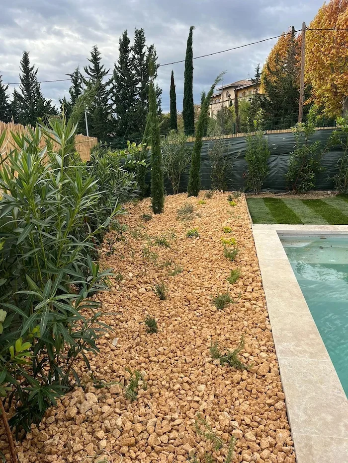 Cyprès élancés et arbustes persistants dans un massif paillé de graviers au bord d’une piscine.
